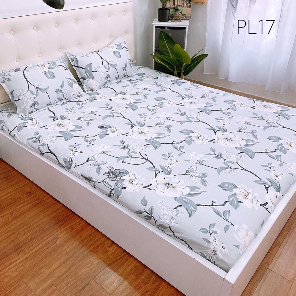 Ga chun poly và 2 vỏ gối nằm 2m x 2m2