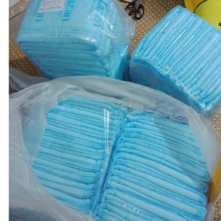 Combo 2 cái bỉm sau sinh dành cho mom