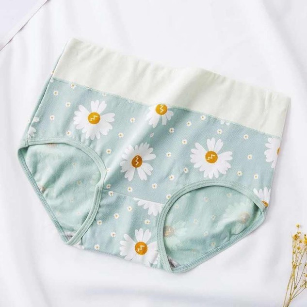 Quần Lót Nữ SAM SAM Chất Cotton Lưng Cao Size Đại 50-70kg Đáy Lót Kháng Khuẩn SAM SAM