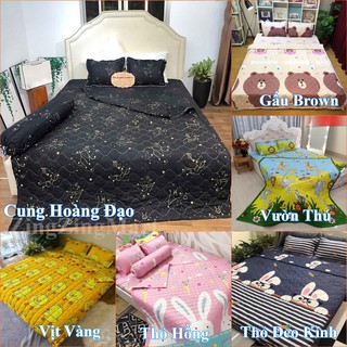 Chăn hè đẹp trần bông cotton poly sét 5 món (Được lựa mẫu)