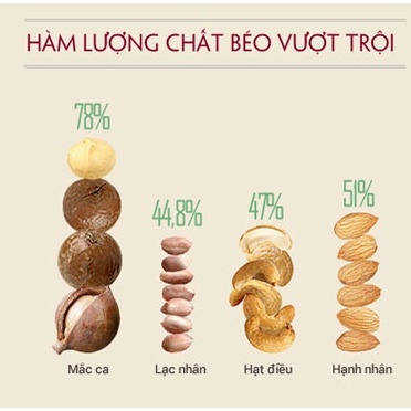 Nhân hạt macca HODU FOOD, hạt mắc ca tách vỏ Loại 1 Tây Nguyên thơm, giòn, béo dành cho bà bầu