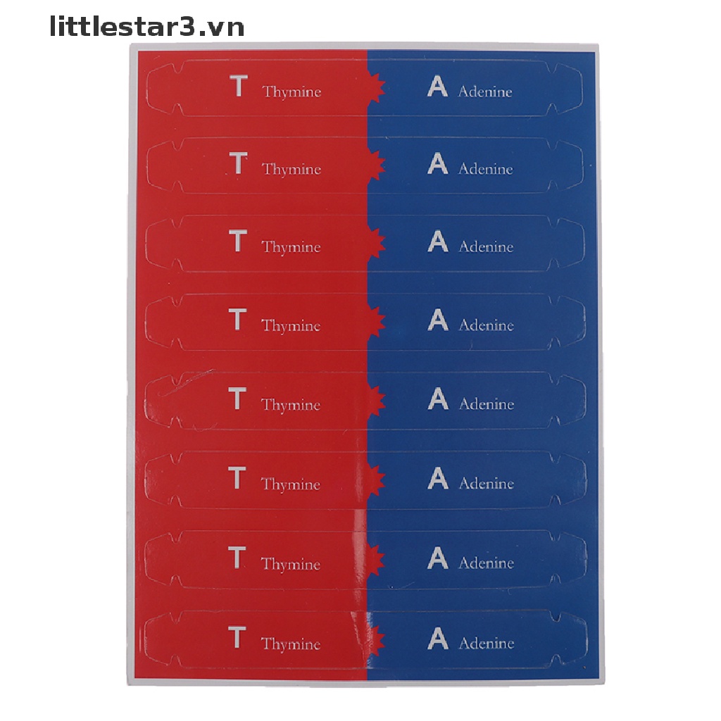 Mô Hình Khoa Học Dna Genetic