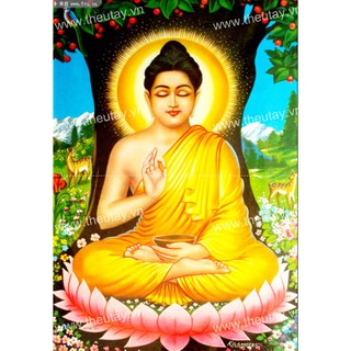 Tranh đính đá kim cương đa sắc Đức Phật Dưới Gốc Bồ Đề YN5259