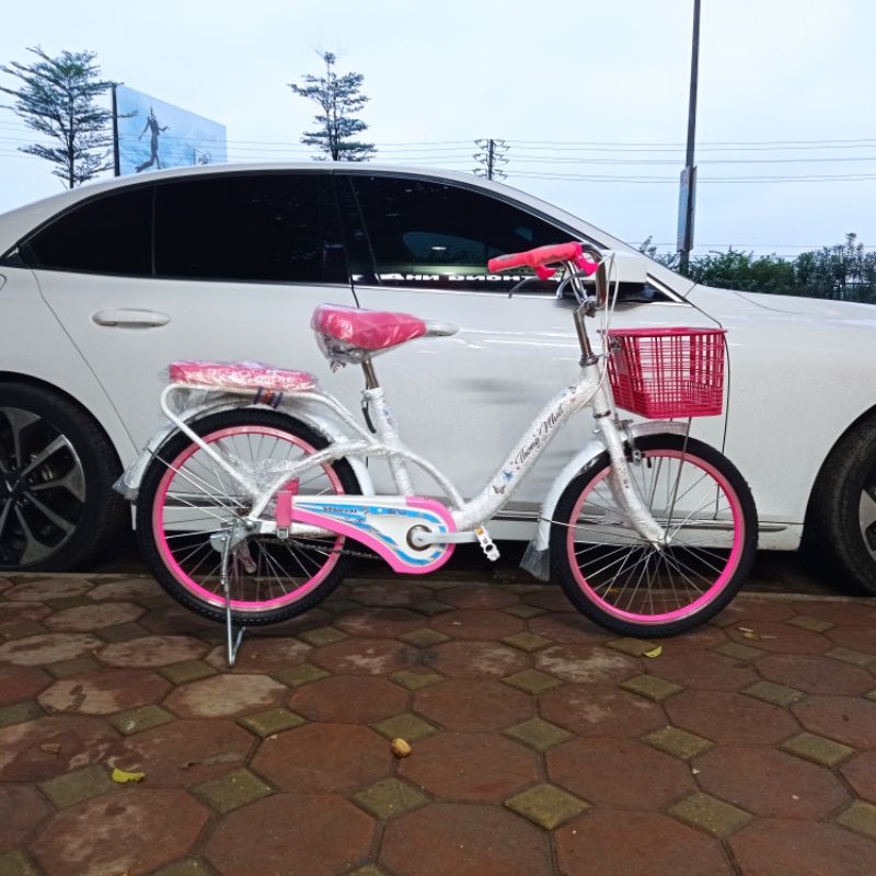 Xe đạp Neo 20-02