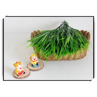 Cành mạ non( nhựa pvc) trang trí decor