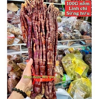Nấm linh chi sừng hưu 100g