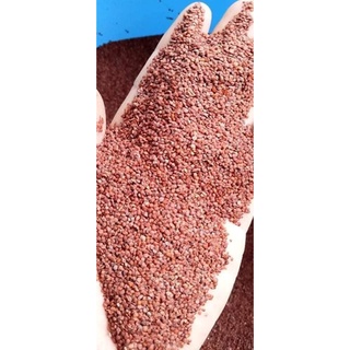 Hạt ngũ hoa 100gr đắp mặt hết mụn trắng trẻo, mịn màng