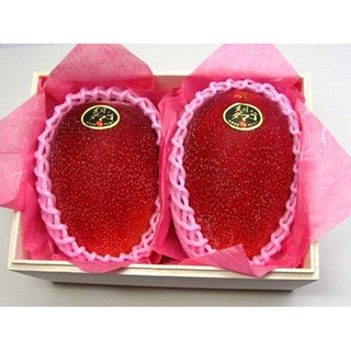 cây xoài đỏ nhật bản  ( japan)