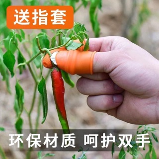 MÓNG TAY BẤM CÂY SIÊU TIỆN