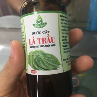 Nước cất lá trầu