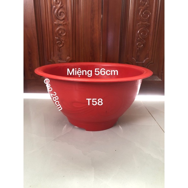 Chậu Nhựa Truyền Thống T58 Trồng Cây Màu Đỏ