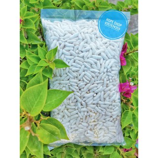 Cốm gạo cho Hamster - Thức ăn dặm Hamster
