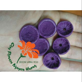 Gân Nhụy cúc silicone