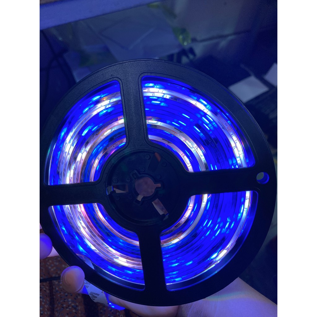 Led dây dán full màu nháy tự nháy 5 mét, led cuộn 1903 điện áp 12V