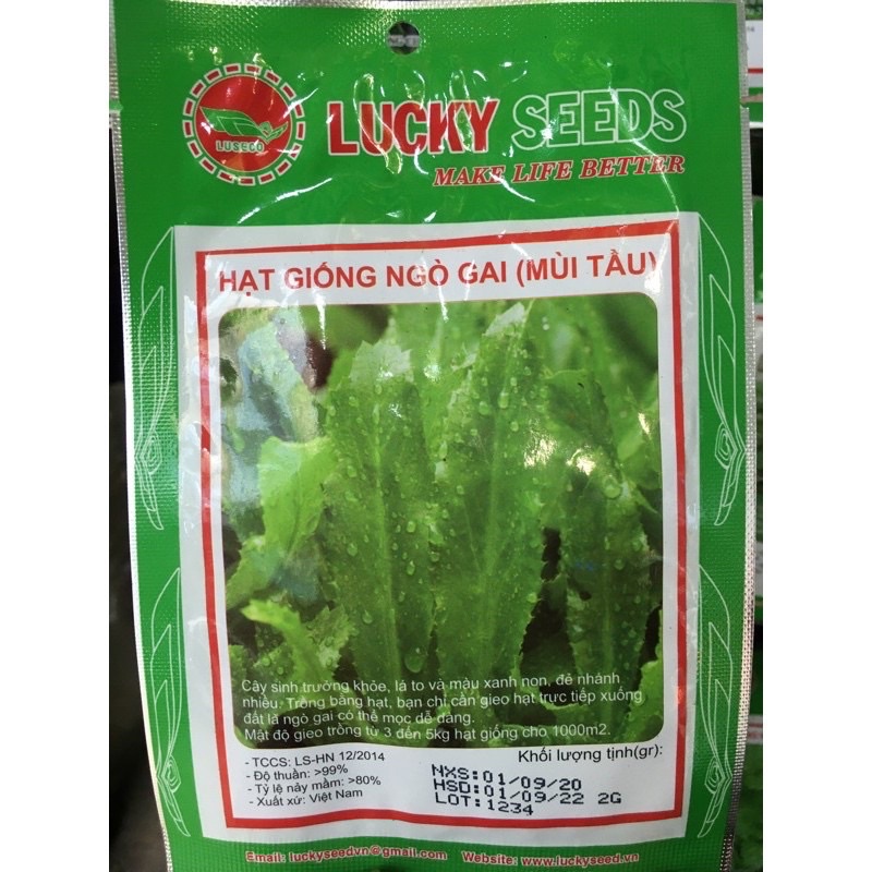 HẠT GIỐNG MÙI TÀU_ NGÒ GAI ( gói 2g)