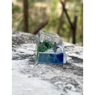 Nút bàn phím keycap cá mập và biển cả