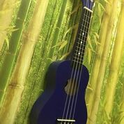 ĐÀN UKULELE CONCERT NHIỀU MÀU SẮC ĐA DẠNG - HÀNG CÓ SẴN