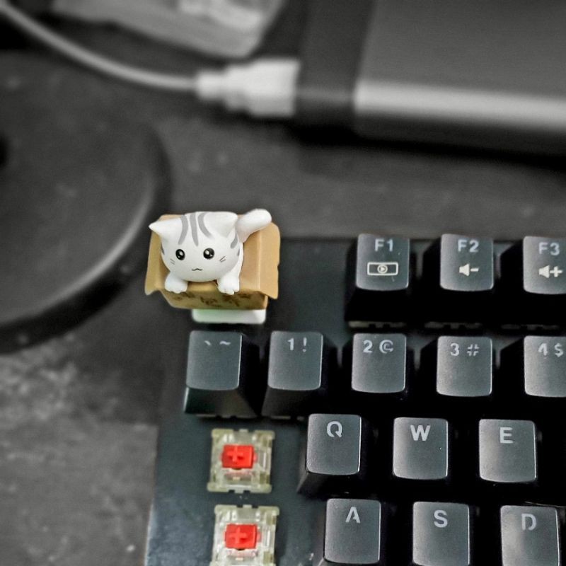 Keycap bé mèo trong thùng carton, nút bấm bàn phím cơ hình mèo
