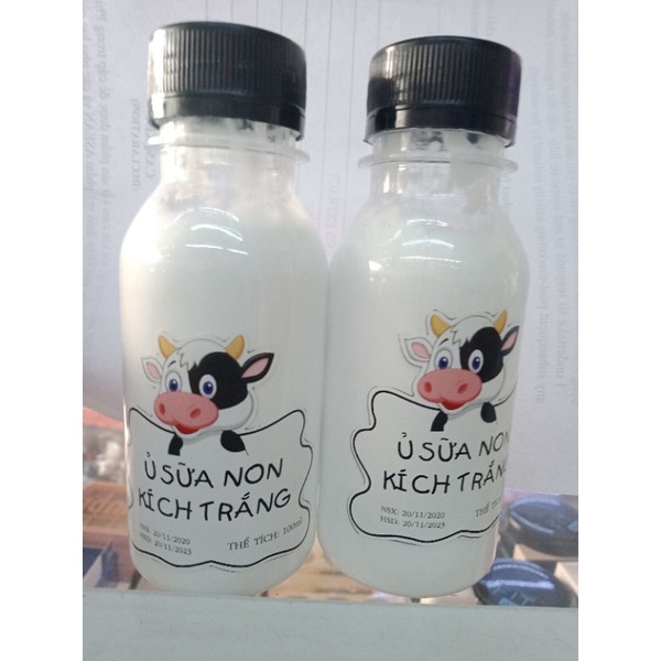 Ủ Sữa Non Kích Trắng Con Bò