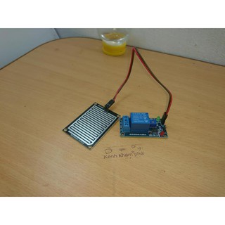 modun cảm biến mưa