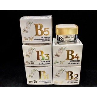 KEM HOA VIỆT B1 B2 B3 B4 B5