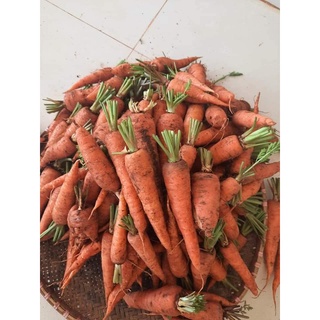 Cà rốt hữu cơ