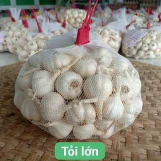 Tỏi Lý Sơn Loại 1_Đặc Sản Quảng Ngãi