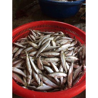 Cá Mương sông thính (cá thính Lập Thạch, tỉnh Vĩnh Phúc)