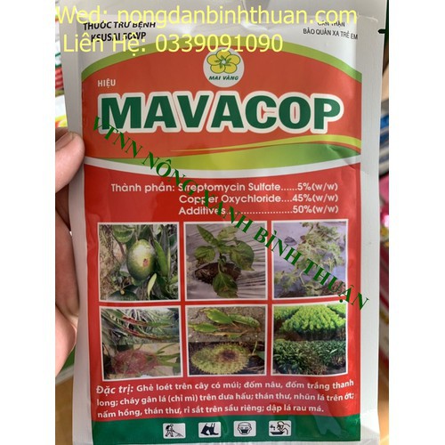Thuốc đặc trị bệnh thối cành trên thanh long - mavacop 100gr