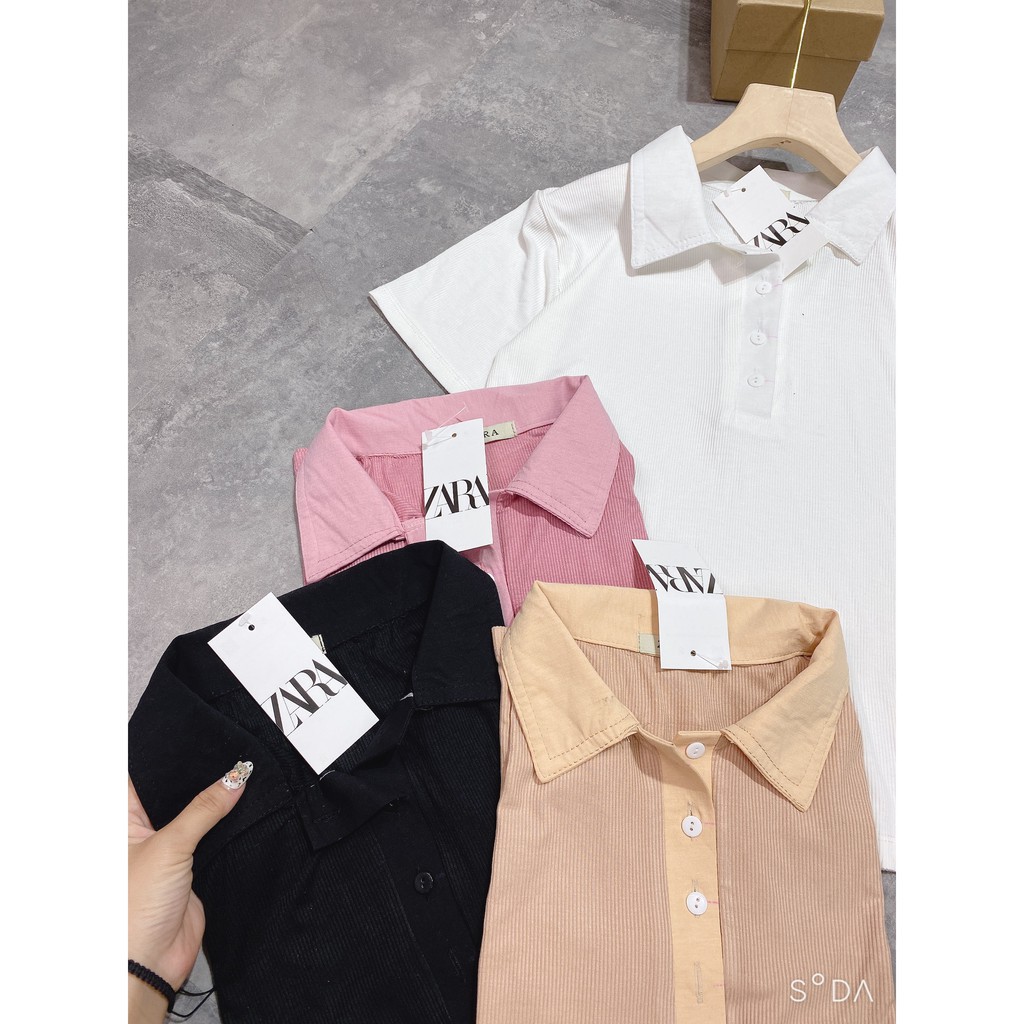 Áo Polo Len Tăm áo bozip tăm cổ bẻ body Siêu Hot | BigBuy360 - bigbuy360.vn