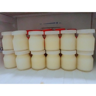 sổ set 12 Hủ làm sữa chua ya-ua budding