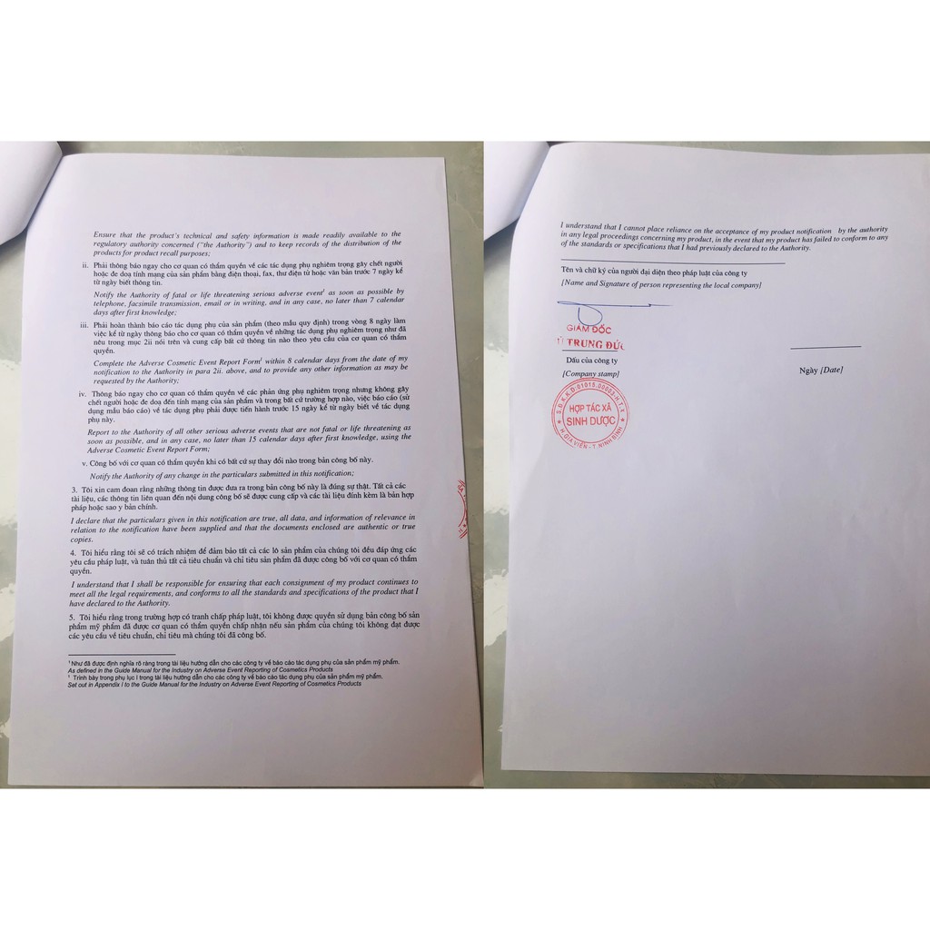 [TẶNG Túi lưới tạo bọt] +Xà phòng Chùm ngây Trà xanh Sinh Dược 100g | BigBuy360 - bigbuy360.vn