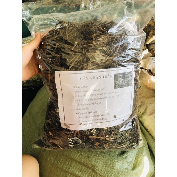 1kg Cây nhân Trần khô thơm,ngọt,mát