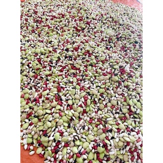 Đậu đỗ đà lạt tươi mix 5 vị