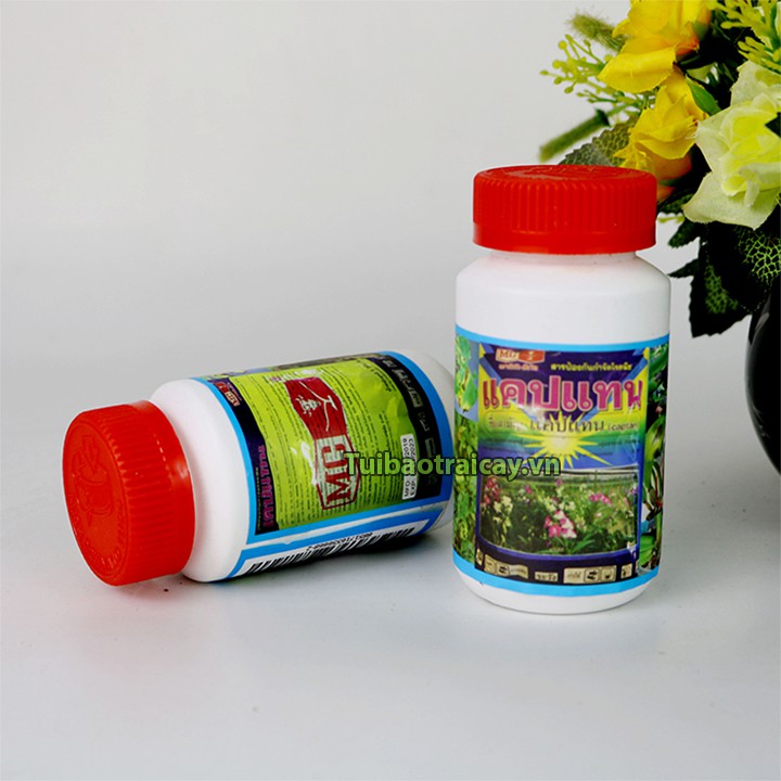 Thuốc Captan đặc trị thối nhũn cho lan hàng Thái Lan 50g - T124