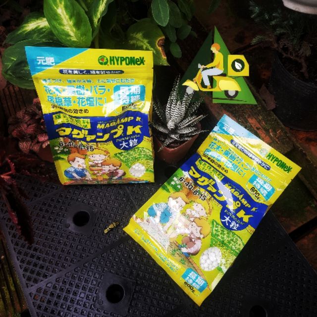 Phân NPK Nhật 6-40-6-15 gói 600g