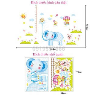 decal thước đo chiều cao con voi