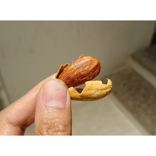 Hạnh nhân rang bơ Mỹ (Caramelize Almonds, made in USA)