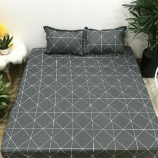 ga chống thấm cotton m8*2m ( đệm cao 5-10p)