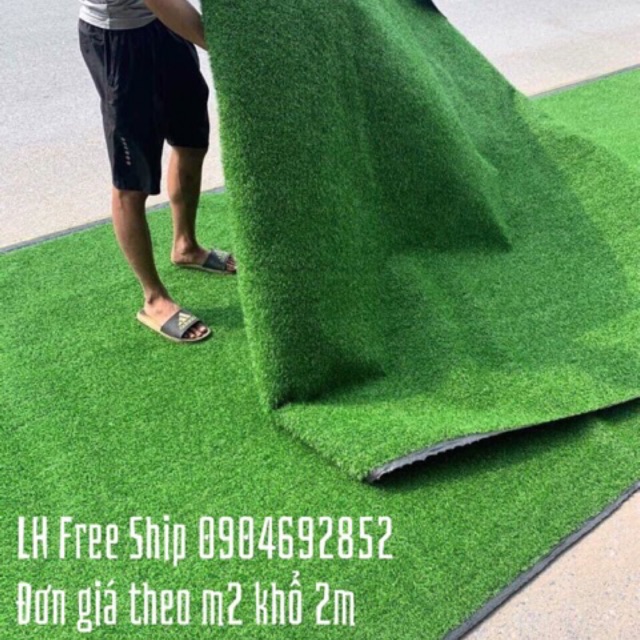 Thảm cỏ sợi nhựa nhân tạo 2cm loại đế nhựa không sinh bụi đen