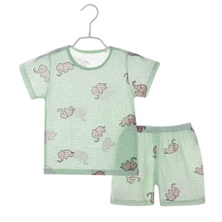 Combo 2 Bộ cotton giấy