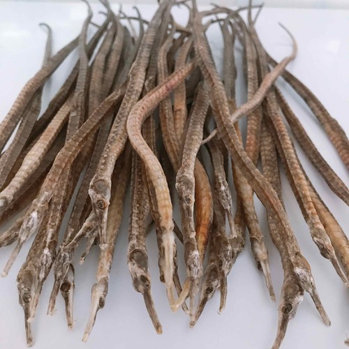 2 con hải long thuôn. hai long dài