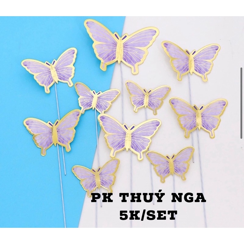 5 set cắm 10 bướm giấy mới