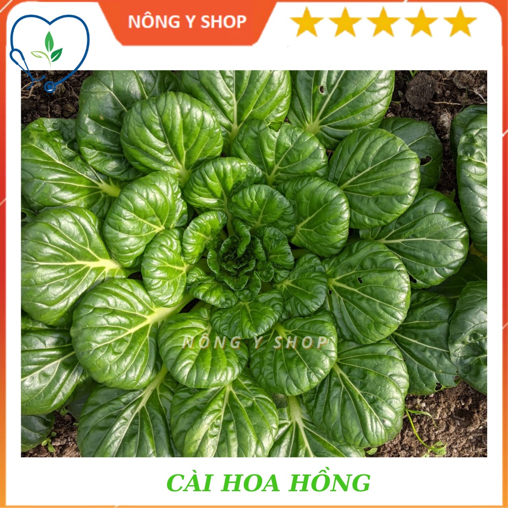 Gói 5g- Túi zip ~100 hạt Cải hoa hồng Rạng Đông - Rado 685