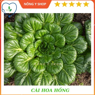 Gói 5g- túi zip ~100 hạt cải hoa hồng rạng đông - rado 685