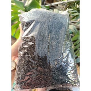 Trấu Hun