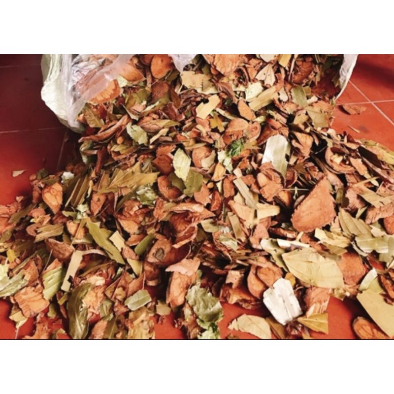 LÁ XÔNG TẮM NGƯỜI DAO ĐỎ