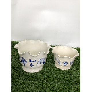 chậu ly bèo