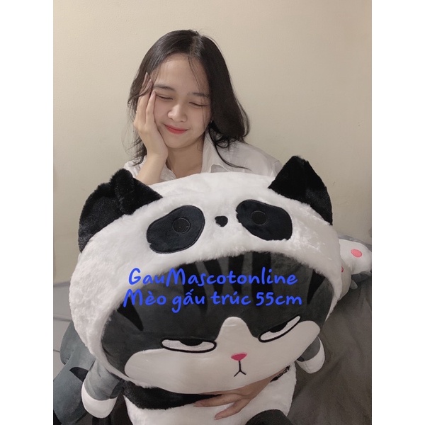 MÈO HOÀNG THƯỢNG COSPLAY ONG,GẤU TRÚC,PlKACHU HÀNG CAO CẤP