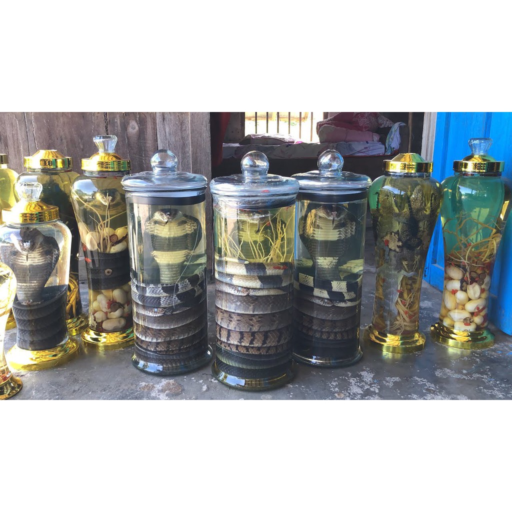 Bình Ngâm Rượu Thuỷ Tinh Trụ Rồng Có Vòi 6L, 8L, 10L, 12L, 15L, 19L
